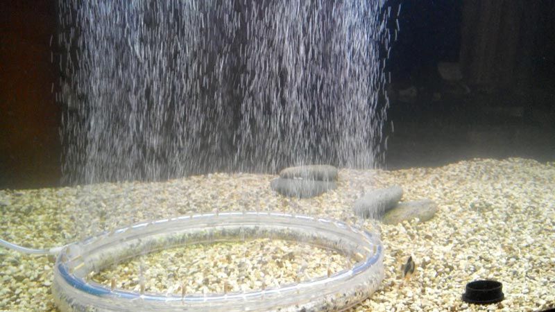 Воздух в аквариуме как называется прибор