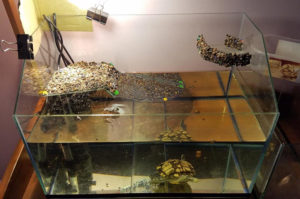 фото самодельных аквариумов