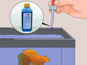 Применение ФМЦ (FMC) DOCTOR FISH в общем аквариуме